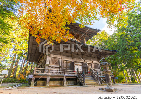 高野山 壇上伽藍 紅葉に包まれた西塔 高野山 壇上伽藍 紅葉に包まれた西塔 120602025