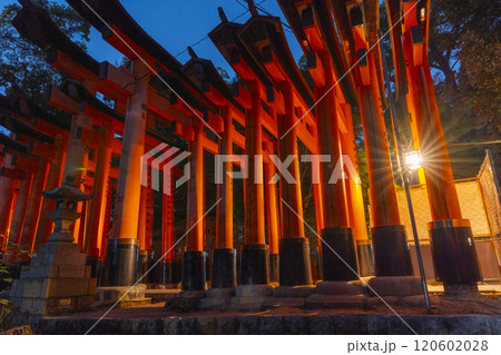 夜の伏見稲荷大社 千本鳥居 夜の伏見稲荷大社 千本鳥居 120602028