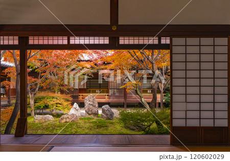 京都東山の秋　建仁寺　紅葉に包まれた潮音庭 120602029