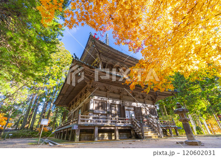 高野山　壇上伽藍　紅葉に包まれた西塔 120602031
