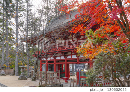 高野山 壇上伽藍 紅葉に包まれた中門 高野山 壇上伽藍 紅葉に包まれた中門 120602033