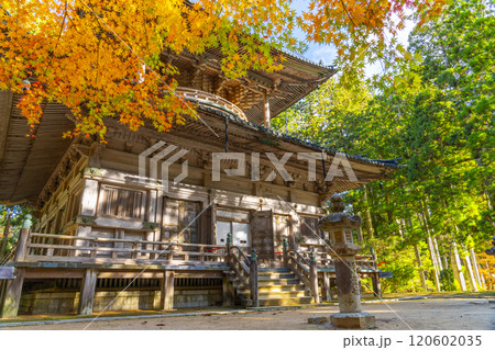 高野山 壇上伽藍 紅葉に包まれた西塔 高野山 壇上伽藍 紅葉に包まれた西塔 120602035