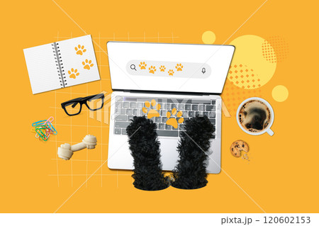 Creative design, a girl with a horn, on a bright background. Creative design, a girl with a horn, on a bright background. 120602153