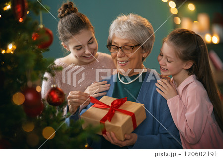 family celebrating Christmas family celebrating Christmas 120602191
