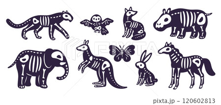 Cartoon animal skeletons. Halloween mystic fauna. Dia de los muertos mammals. Black silhouettes with bones inside. Dead kangaroo. Elephant floral skull. Owl skeletons. Garish vector set 120602813