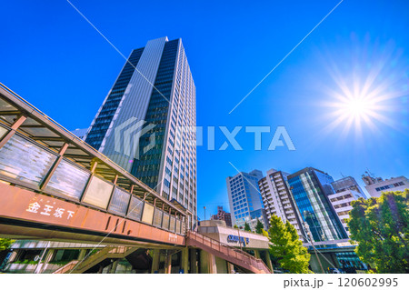 日本の東京都市景観　歩道橋のある街。金王坂下歩道橋や渋谷クロスタワーなどを望む…＝11月25日 120602995