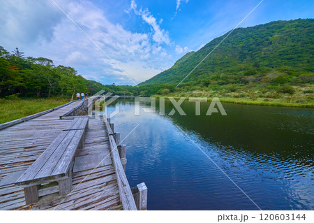 群馬県赤城公園の夏の覚満淵の木道から駒ヶ岳方面を見る 120603144