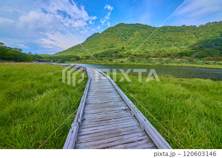群馬県赤城公園の夏の覚満淵の木道から駒ヶ岳方面を見る 120603146