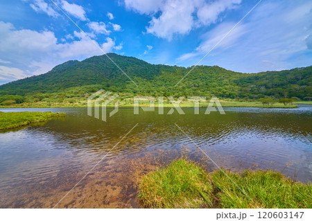 夏の群馬県赤城公園の夏の覚満淵の木道から駒ヶ岳方面を見る 120603147