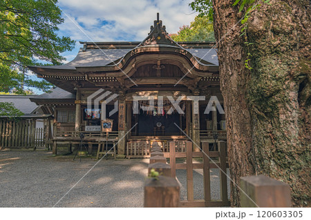 宮﨑 天岩戸神社 神楽殿と天安河原遥拝所 宮﨑 天岩戸神社 神楽殿と天安河原遥拝所 120603305