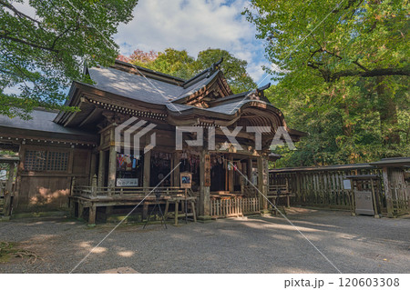 宮﨑 天岩戸神社 神楽殿と天安河原遥拝所 宮﨑 天岩戸神社 神楽殿と天安河原遥拝所 120603308