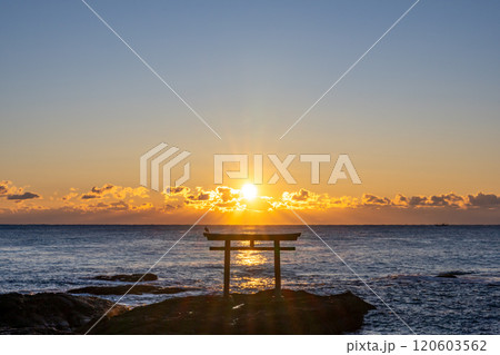 茨城県大洗町　神磯の鳥居（日の出） 120603562