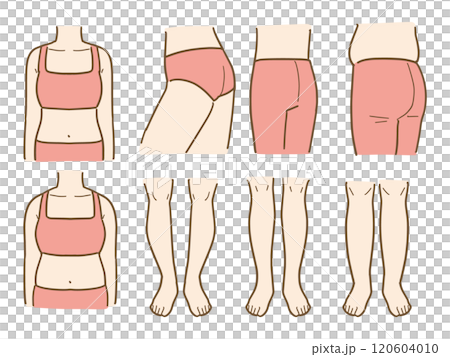 Slim and thick upper and lower body illustrations 120604010