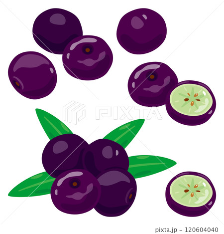 アサイーセット 120604040