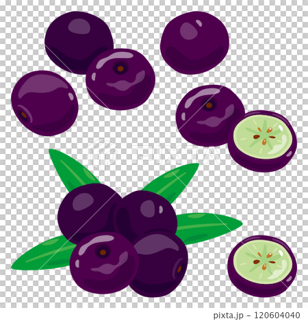 巴西莓套裝 120604040