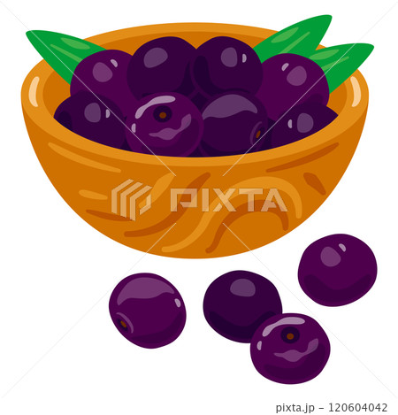ボウルに盛られたアサイーセット ボウルに盛られたアサイーセット 120604042