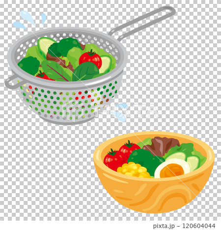 ザルで水切りされる野菜とボウルに盛られたサラダ 120604044