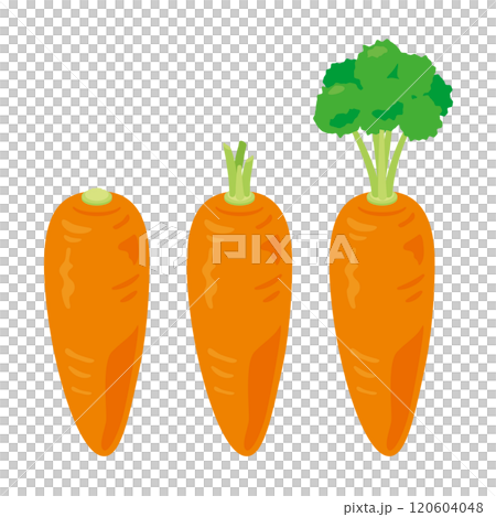 人參套裝 120604048