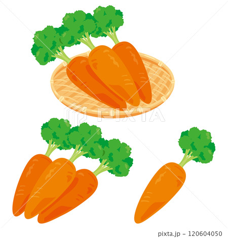 竹ザルに盛られた人参セット 120604050