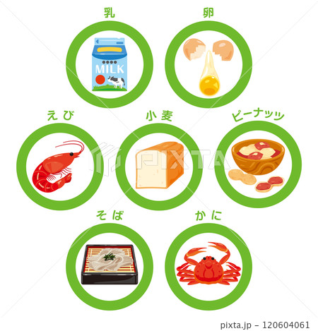 7大アレルギー　特定原材料のマークイラスト　日本語 120604061