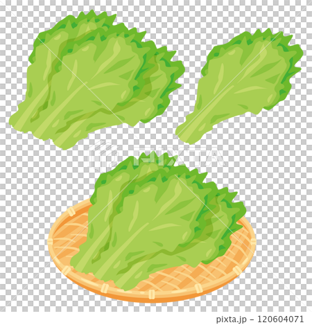 將生菜放入漏杓中 將生菜放入漏杓中 120604071