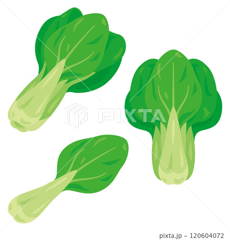 青梗菜セット 120604072