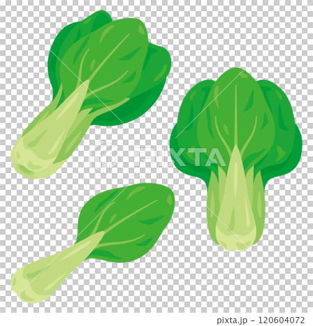 青梗菜セット 120604072