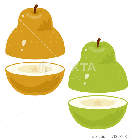 水平方向にカットされた洋梨セット 水平方向にカットされた洋梨セット 120604100