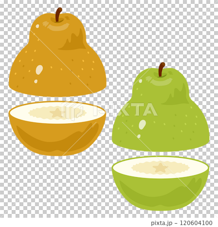 水平方向にカットされた洋梨セット 水平方向にカットされた洋梨セット 120604100