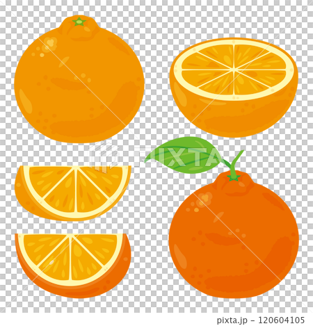 德科蓬套裝 120604105