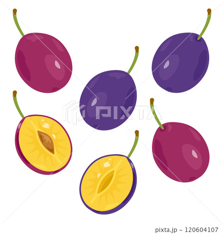 プルーンセット 120604107