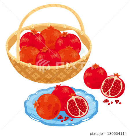 ザクロセット ザクロセット 120604114