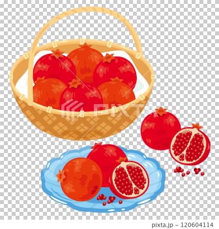 ザクロセット ザクロセット 120604114