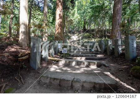 二荒山神社 中宮祠と男体山 120604167