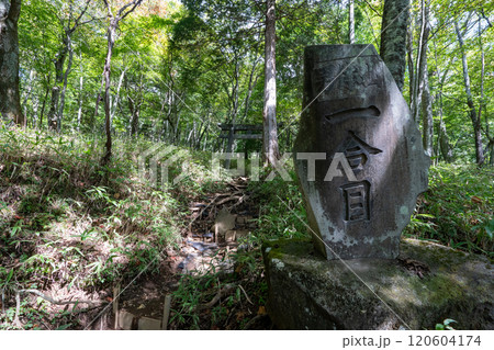二荒山神社 中宮祠と男体山 二荒山神社 中宮祠と男体山 120604174