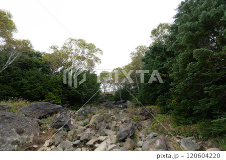 二荒山神社 中宮祠と男体山 120604220