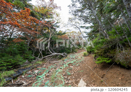 二荒山神社 中宮祠と男体山 二荒山神社 中宮祠と男体山 120604245