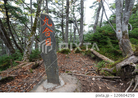 二荒山神社 中宮祠と男体山 120604250