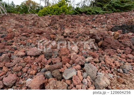 二荒山神社 中宮祠と男体山 120604256