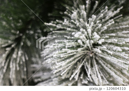 Christmas background and new year still life festive decoration Christmas background and new year still life festive decoration 120604310