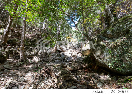 二荒山神社 中宮祠と男体山 二荒山神社 中宮祠と男体山 120604678