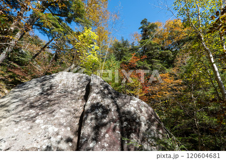 二荒山神社 中宮祠と男体山 二荒山神社 中宮祠と男体山 120604681
