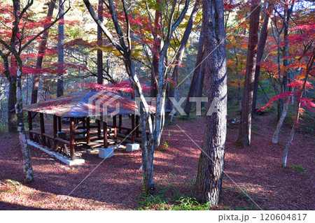 秋　昇仙峡　天鼓林 120604817