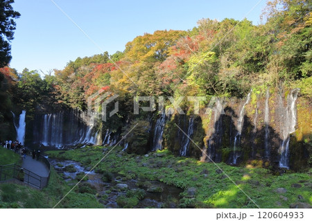 白糸の滝 120604933