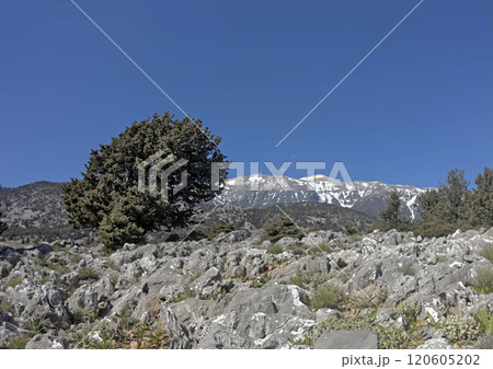 Landscape at Aradena, Sfakia, S Crete, Greece. View of Lefka Ori mt Landscape at Aradena, Sfakia, S Crete, Greece. View of Lefka Ori mt 120605202