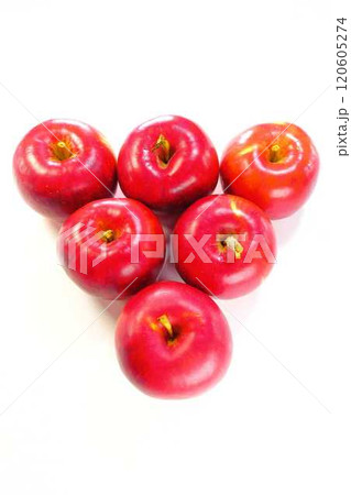 リンゴ　りんご　林檎 120605274