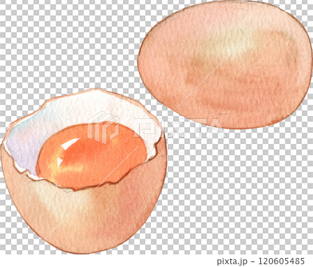Whole egg and halved egg, Hand Drawn Illustration Watercolor paintin Whole egg and halved egg, Hand Drawn Illustration Watercolor paintin 120605485