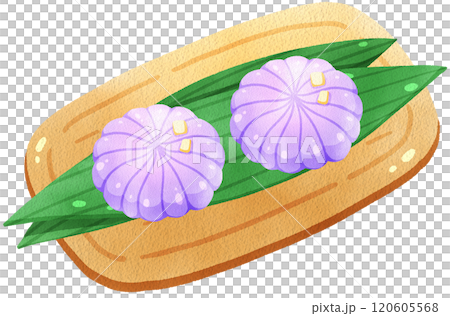 Purple flower blossom Nerikiri, Japanese sweet, watercolor digital painting hand drawn 120605568