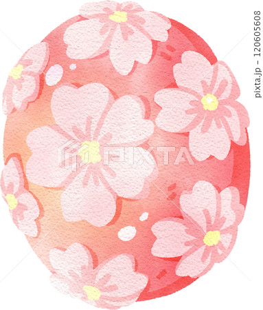 Sakura cherry blossom Nerikiri, Japanese sweet, watercolor digital painting hand-drawn illustration 120605608