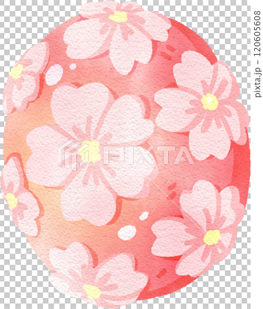 Sakura cherry blossom Nerikiri, Japanese sweet, watercolor digital painting hand-drawn illustration 120605608